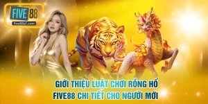 Rồng Hổ FIVE88